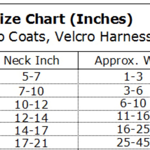 Holiday Christmas Candy Cane Dress & Lead - Size Small - NEW - Picture 5 of 5